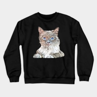 Floppy Cat Design - Ragdoll Cat Christmas Gift Crewneck Sweatshirt